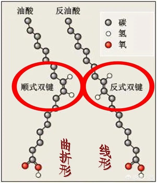 什么是人造反式脂肪?