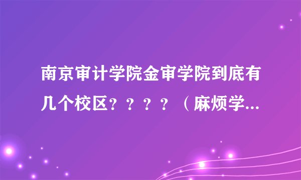 南京审计学院金审学院到底有几个校区????(麻烦学哥学姐说得具体点)