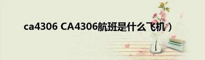 ca4306 CA4306航班是什么飞机)