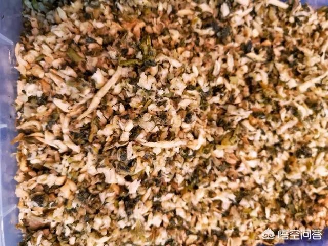 怎样腌酸菜?