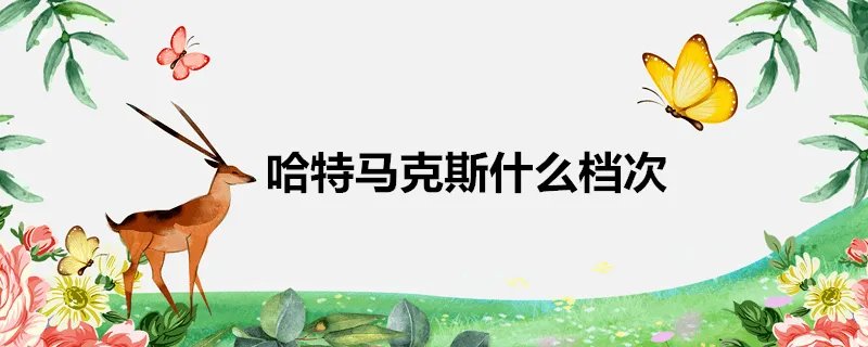 哈特马克斯什么档次