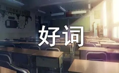写人的好词好句摘抄