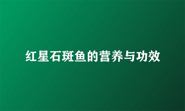 红星石斑鱼的营养与功效
