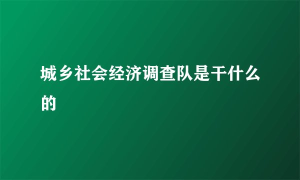 城乡社会经济调查队是干什么的
