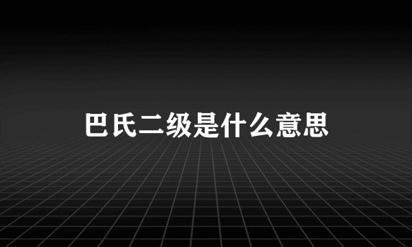 巴氏二级是什么意思