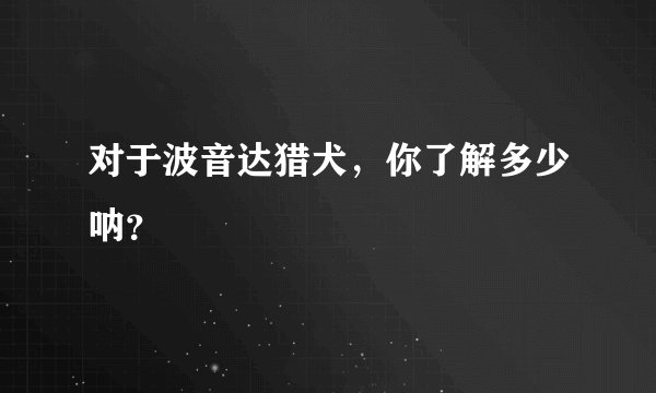 对于波音达猎犬，你了解多少呐？