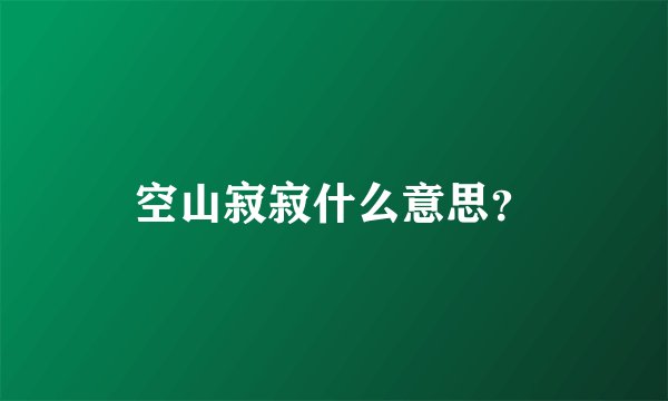 空山寂寂什么意思？
