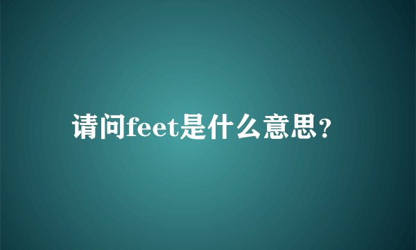 请问feet是什么意思？