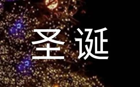 圣诞果