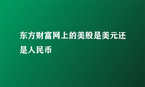 东方财富网上的美股是美元还是人民币