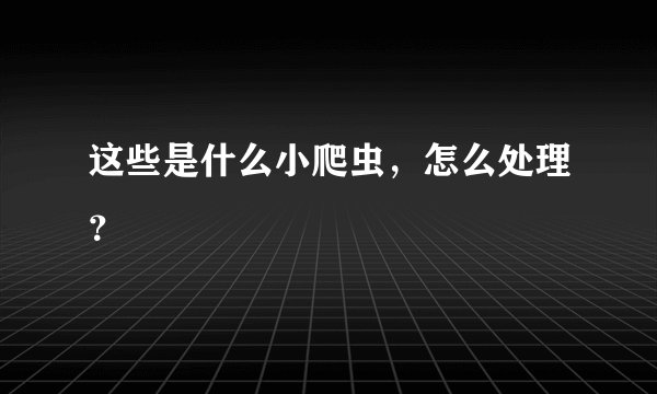 这些是什么小爬虫，怎么处理？