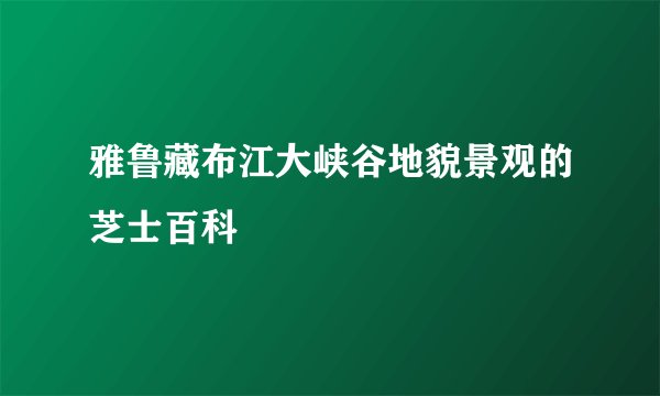 雅鲁藏布江大峡谷地貌景观的芝士百科