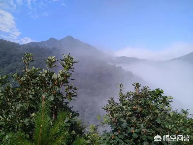 古往今来,为何隐士、修行者会首选终南山隐逸修行?