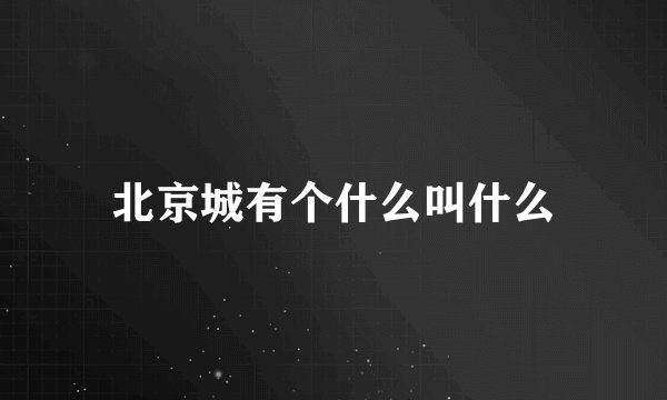 北京城有个什么叫什么