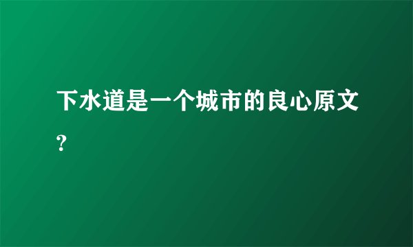 下水道是一个城市的良心原文?
