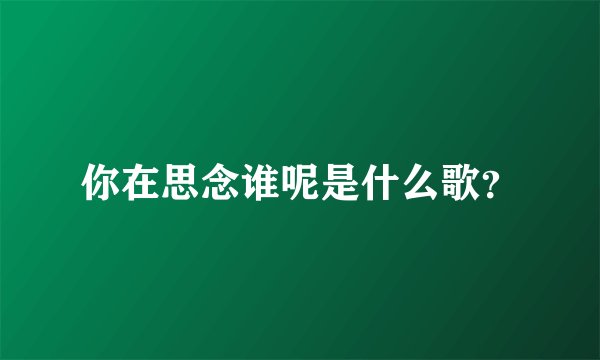你在思念谁呢是什么歌？