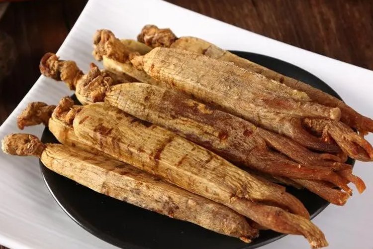 高丽参和红参的区别图片