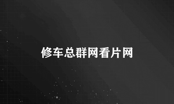 修车总群网看片网