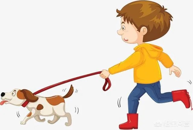 给宠物狗办证需要什么流程?有必要吗?