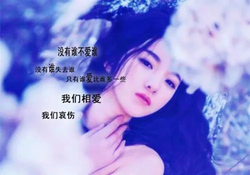 369551沈琦夜墨轩 369551沈琦全文阅读