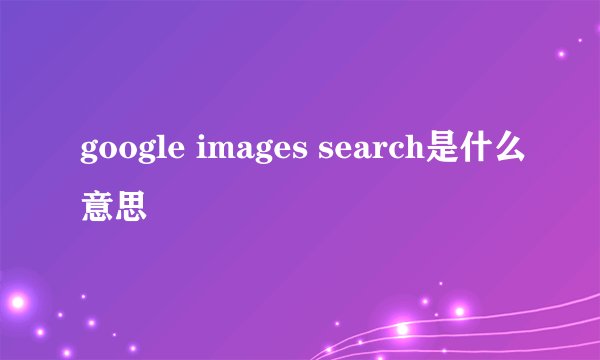google images search是什么意思