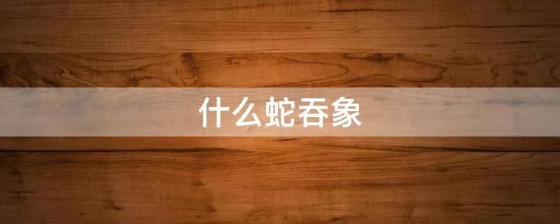 什么蛇吞象