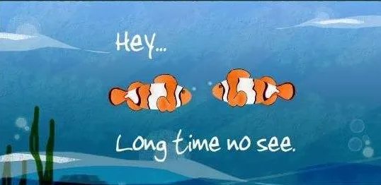 long time no see是什么意思?