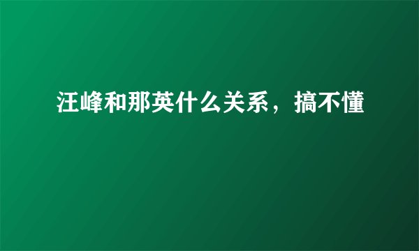 汪峰和那英什么关系，搞不懂