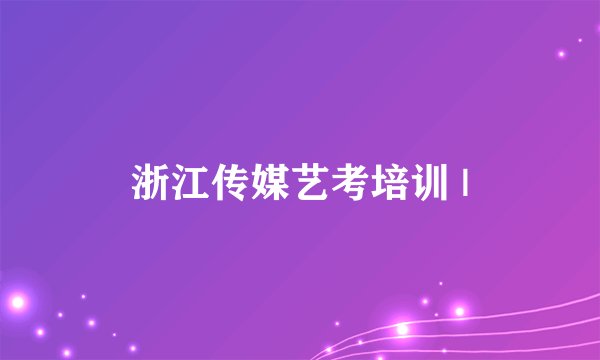 浙江传媒艺考培训 |