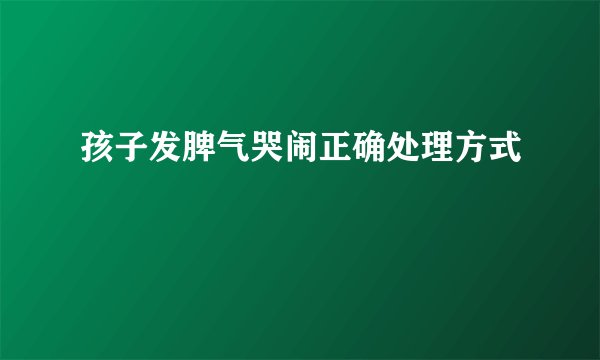 孩子发脾气哭闹正确处理方式
