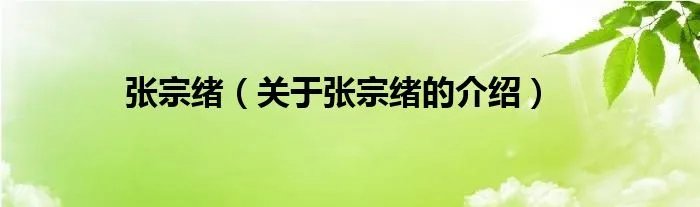 张宗绪（关于张宗绪的介绍）
