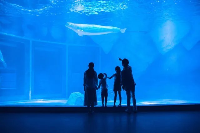 苏州海洋馆有哪些 苏州海底世界哪个好玩 苏州海洋馆水族馆推荐