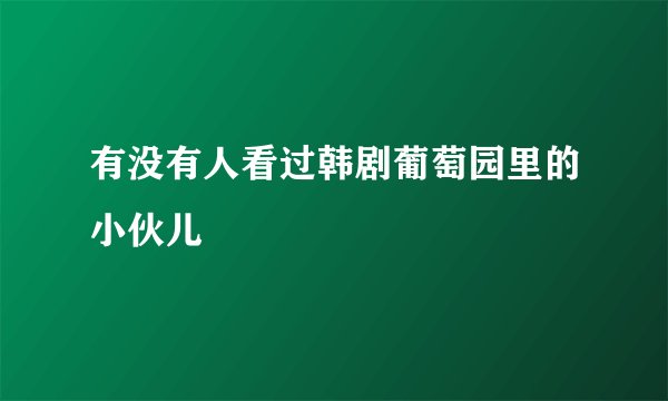 有没有人看过韩剧葡萄园里的小伙儿