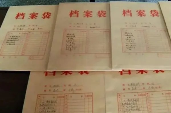 档案的英文