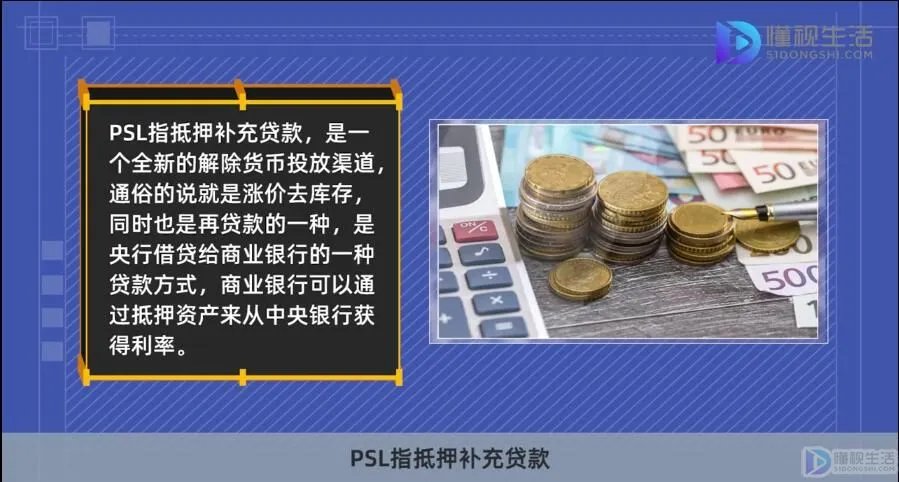 psl是什么意思?