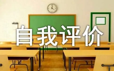 审美与表现自我评价