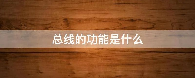 总线的功能是什么