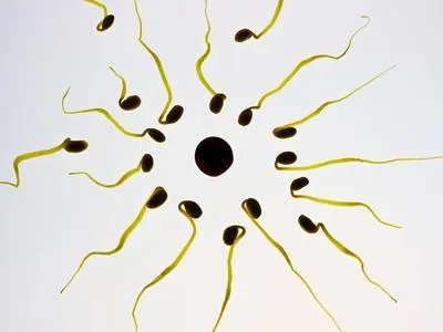 男人精子是乳白色的正常吗 正常精子是什么颜色