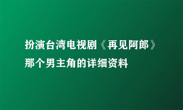 扮演台湾电视剧《再见阿郎》那个男主角的详细资料