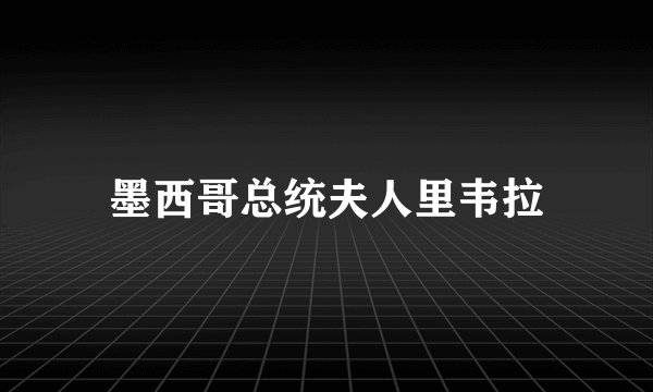 墨西哥总统夫人里韦拉
