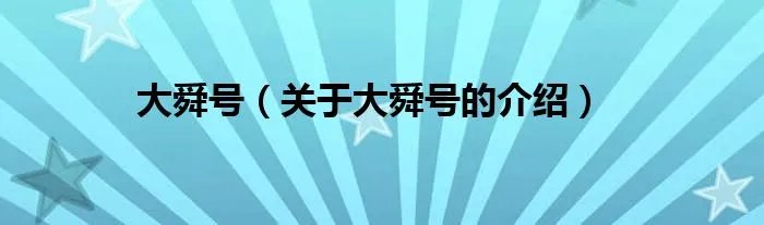 大舜号（关于大舜号的介绍）