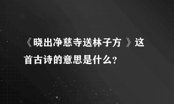 《晓出净慈寺送林子方 》这首古诗的意思是什么?