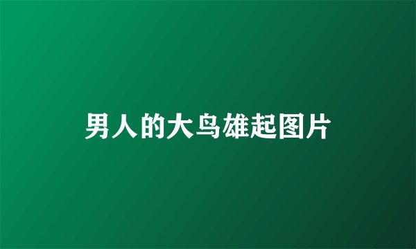 男人的大鸟雄起图片