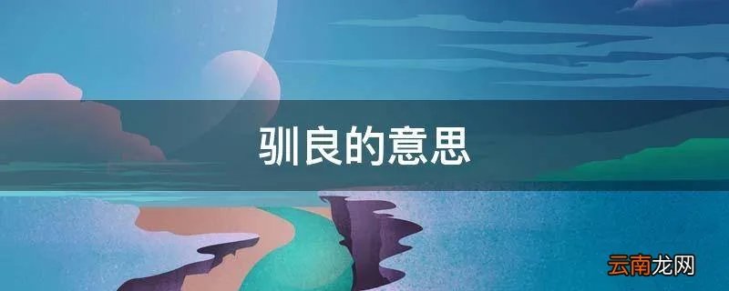驯良的意思