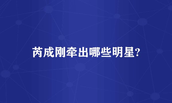 芮成刚牵出哪些明星?