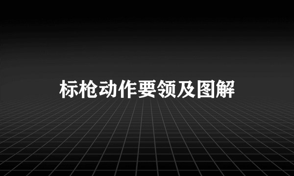 标枪动作要领及图解