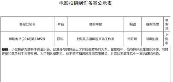 《囧妈》剧情主要讲的什么?什么时候上映