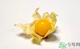 姑娘果的营养价值有哪些?姑娘果的功效与作用