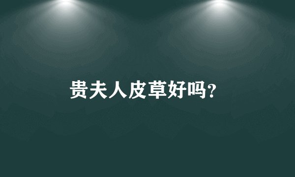 贵夫人皮草好吗？