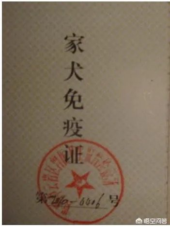 给宠物狗办证需要什么流程?有必要吗?